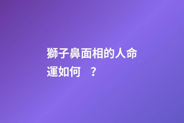 獅子鼻面相的人命運如何？